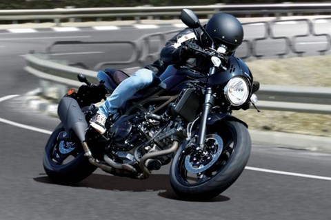 Suzuki SV 650 Gebrauchtberatung - Modelle, Probleme & Tipps