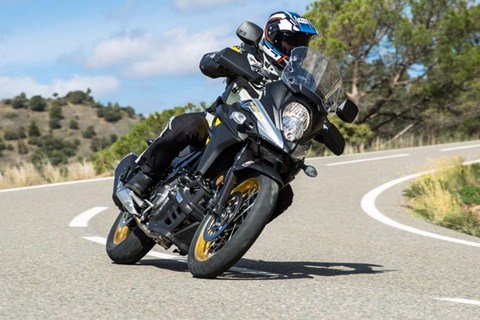 Suzuki V-Strom 650 Gebrauchtberatung
