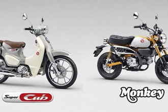 Honda Monkey 125 und Super Cub C125 mit neuen Farben 2026