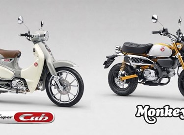 Honda Monkey 125 und Super Cub C125 mit neuen Farben 2026
