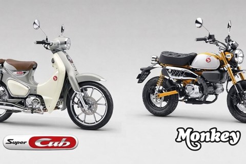 Honda Monkey 125 und Super Cub C125 mit neuen Farben 2026