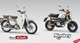 Honda Monkey 125 und Super Cub C125 mit neuen Farben 2026