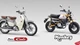 Honda Monkey 125 und Super Cub C125 mit neuen Farben 2026