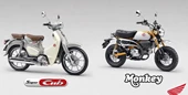 Honda Monkey 125 und Super Cub C125 mit neuen Farben 2026