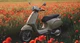 Vespa Primavera & Sprint S 2026: Neue Features