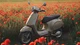 Vespa Primavera & Sprint S 2026: Neue Features