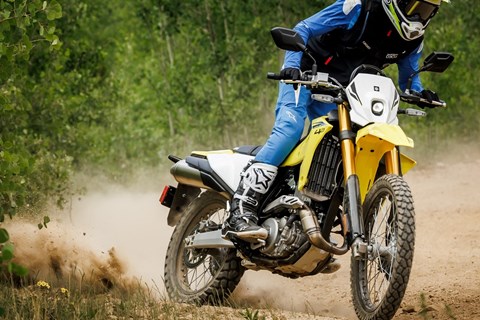 Suzuki senkt Preise 2026 in Österreich und Deutschland