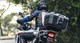 SHAD TR46 Topcase: Mehr Stauraum für Adventure-Bikes