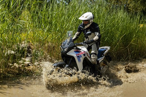 Honda Transalp E-Clutch im Gelände: Test im TCS Areal Betzholz