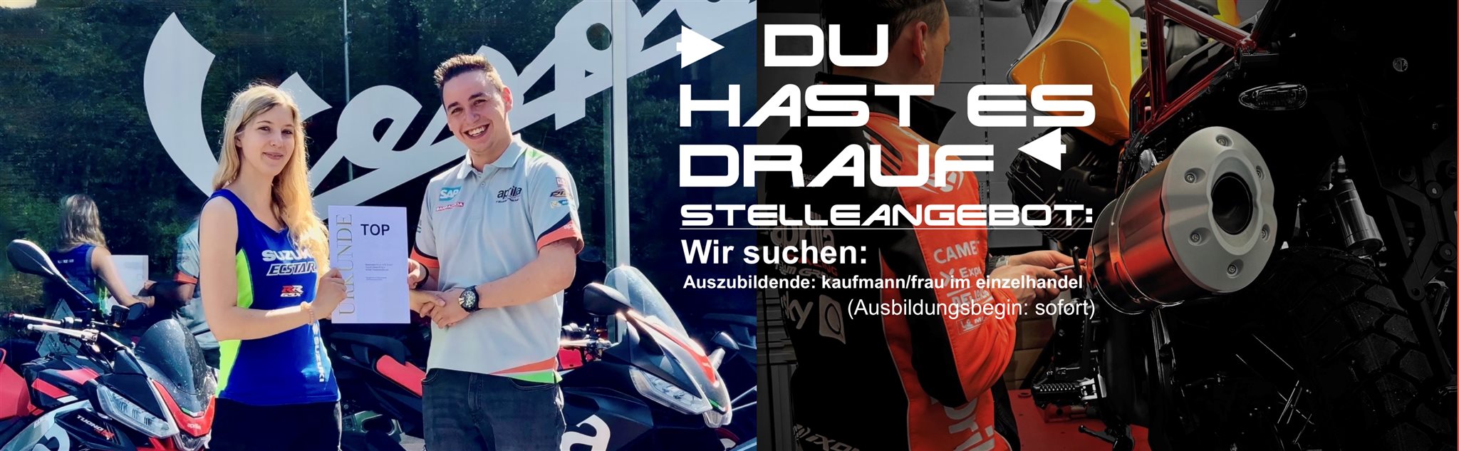 Aktuelle Jobangebote