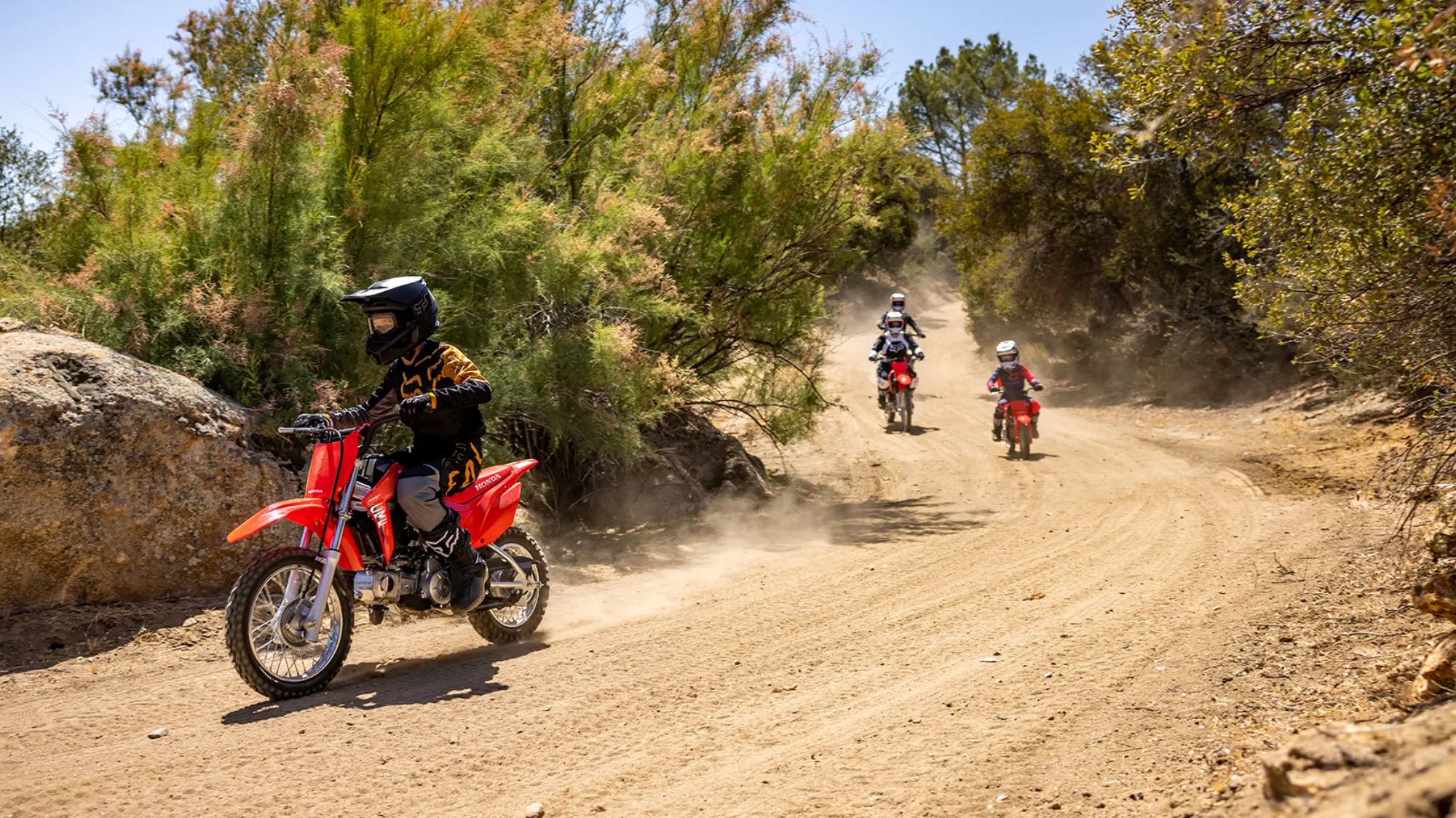 Die Fahrt des Lebens CRF110F