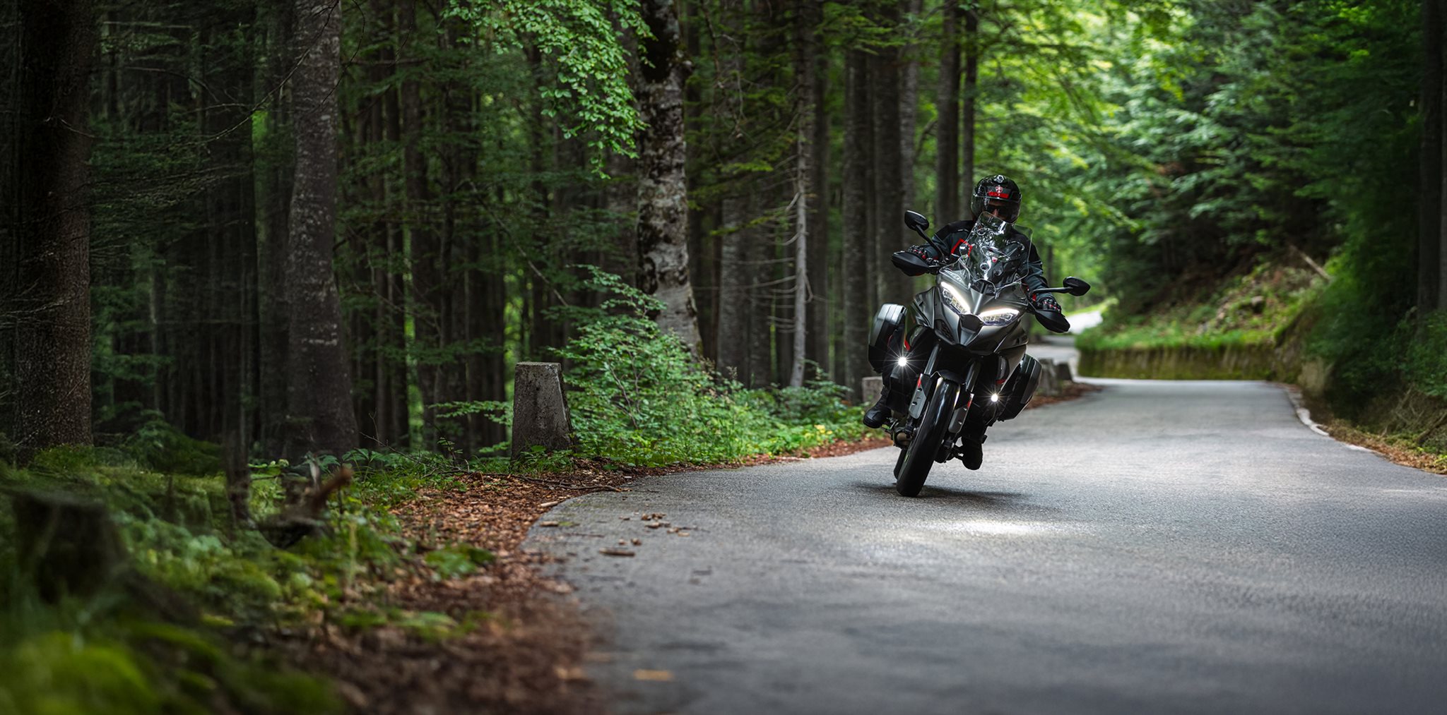 Starte mit uns in ein Jubiläumsjahr voller Emotion und Performance!