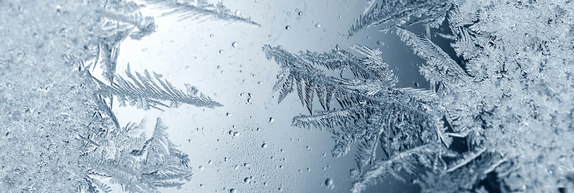 Honda Evecan Winter-Service