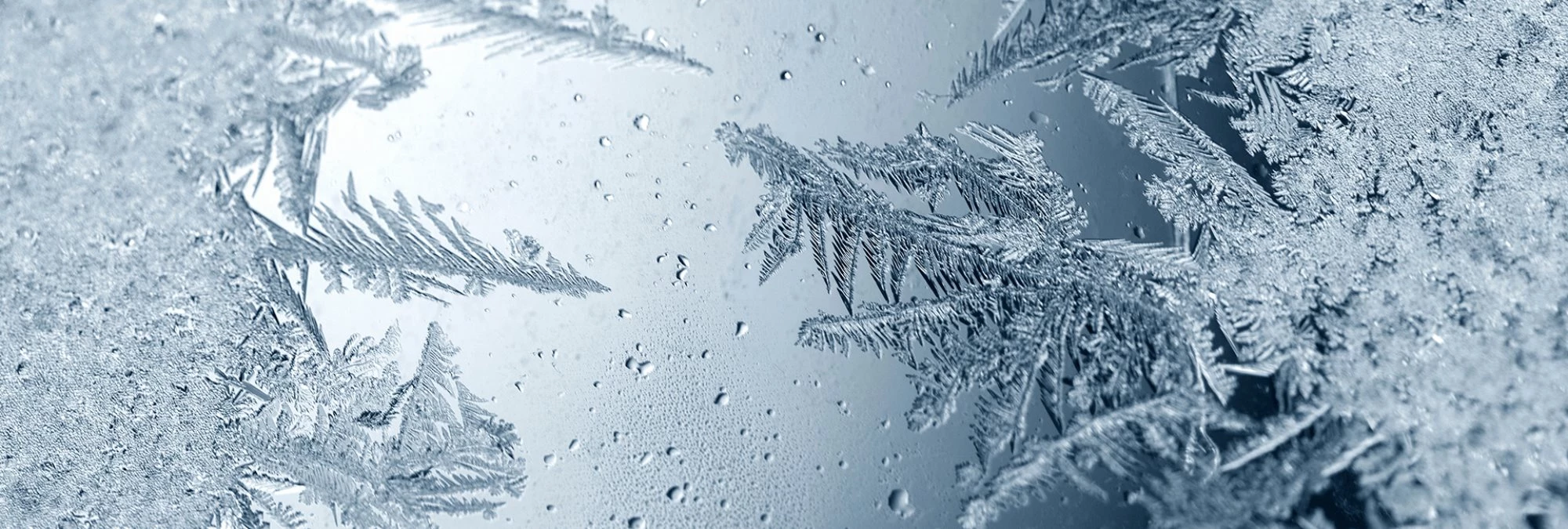 Honda Evecan Winter-Service Honda Evecan Winter-Service