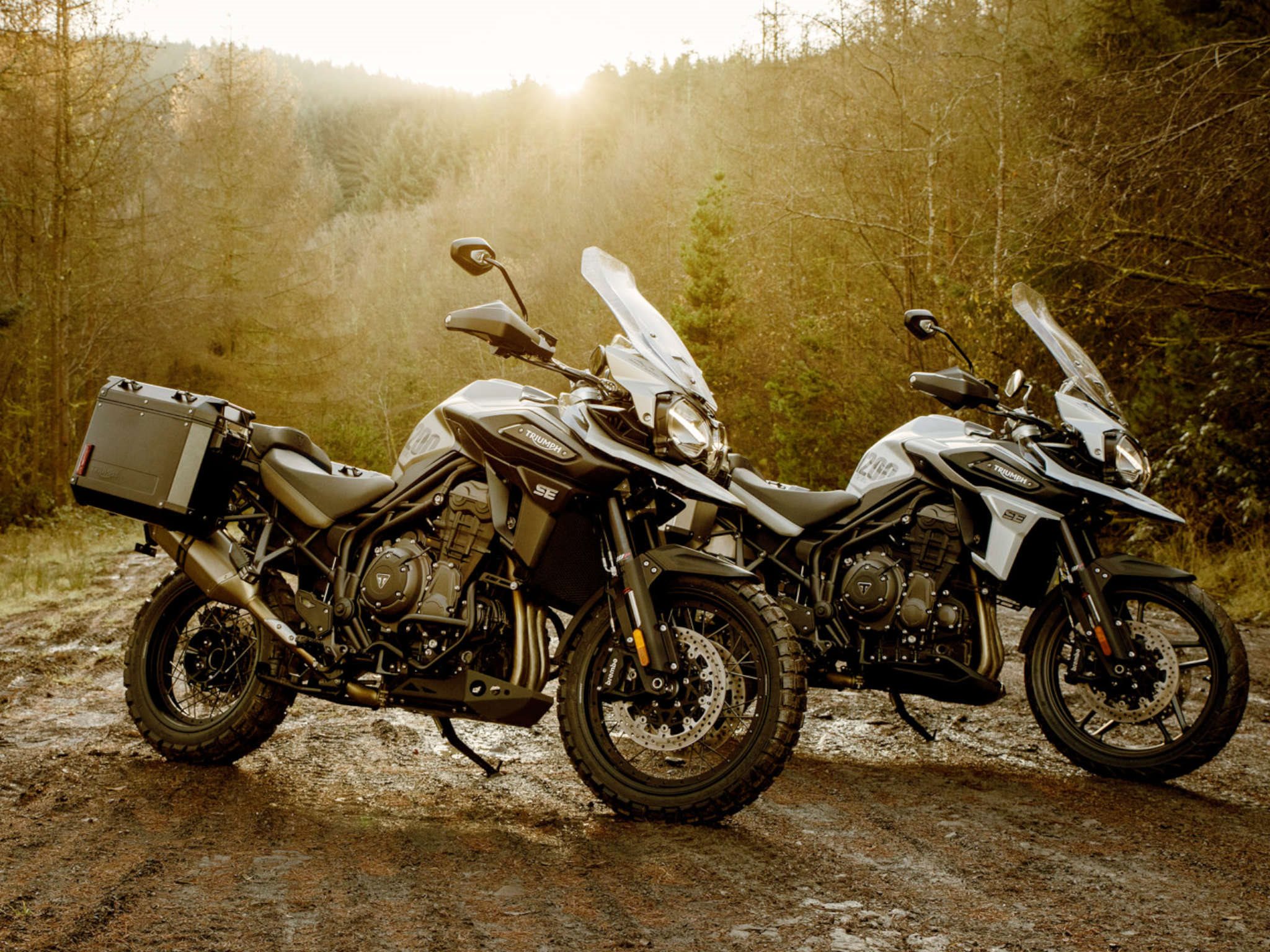 TRIUMPH SUMMER DEALS