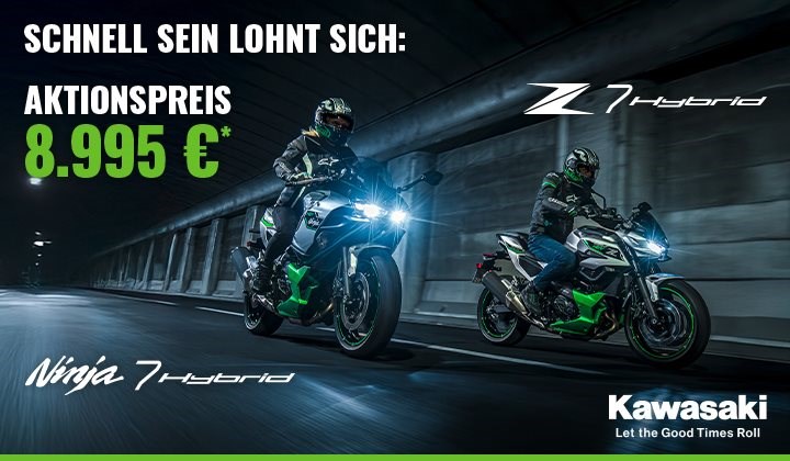 Hybrid-Modelle zum Aktionspreis