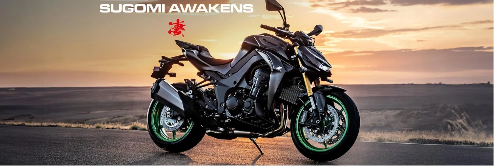 NEW Z1100