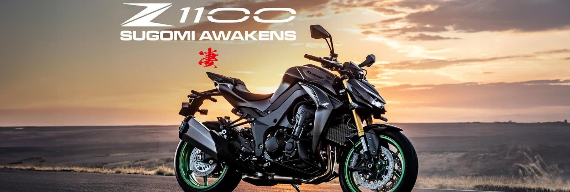 NEW Z1100