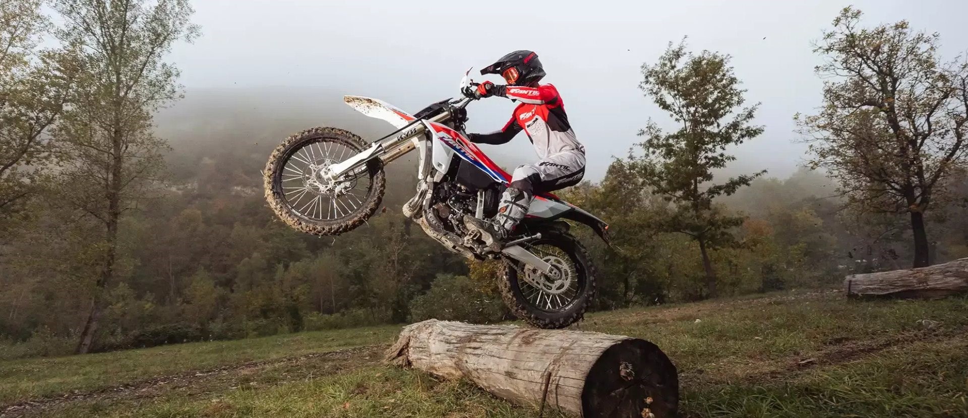 Komplette 2026 Modellpalette