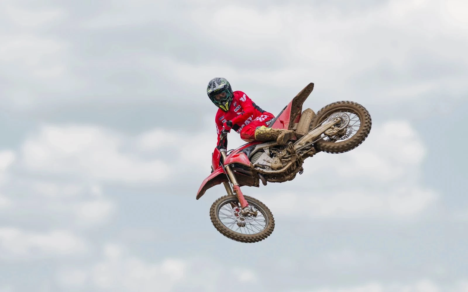 nacida para competir, desarrollada en pista