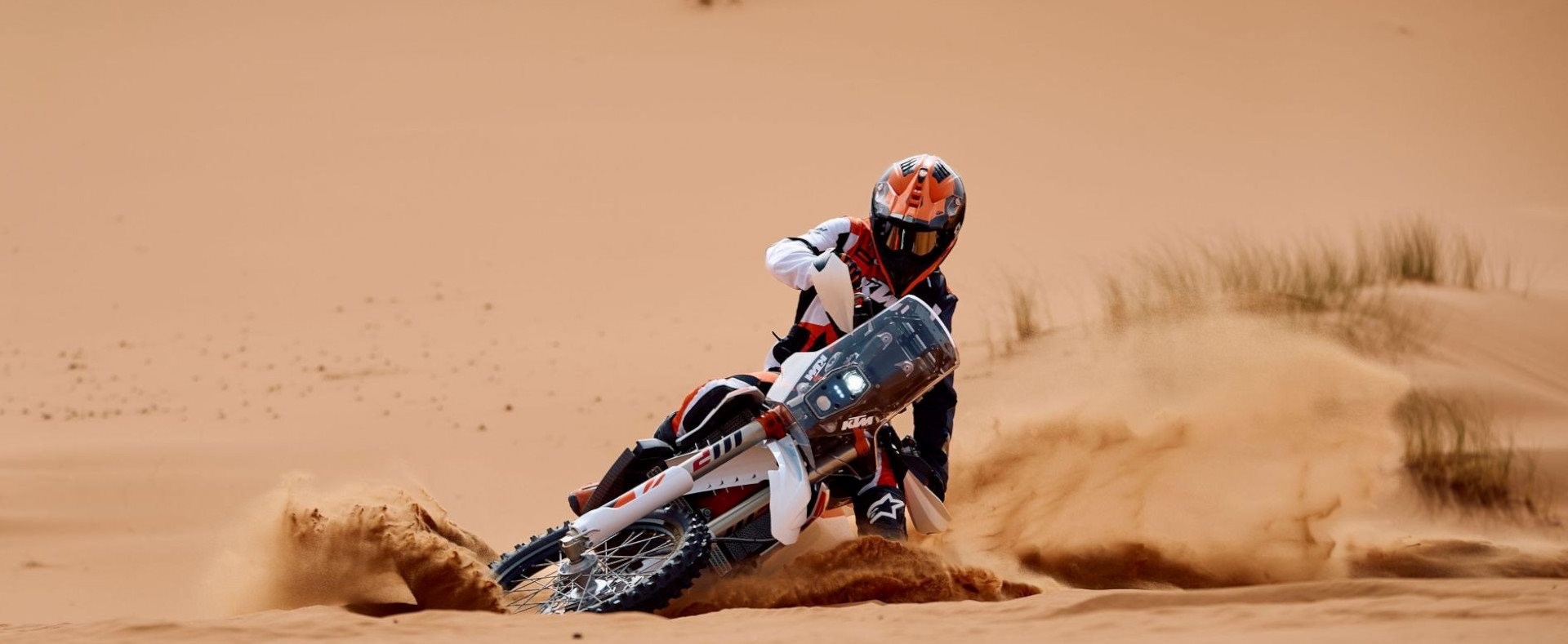 DOMINATE THE DUNES
