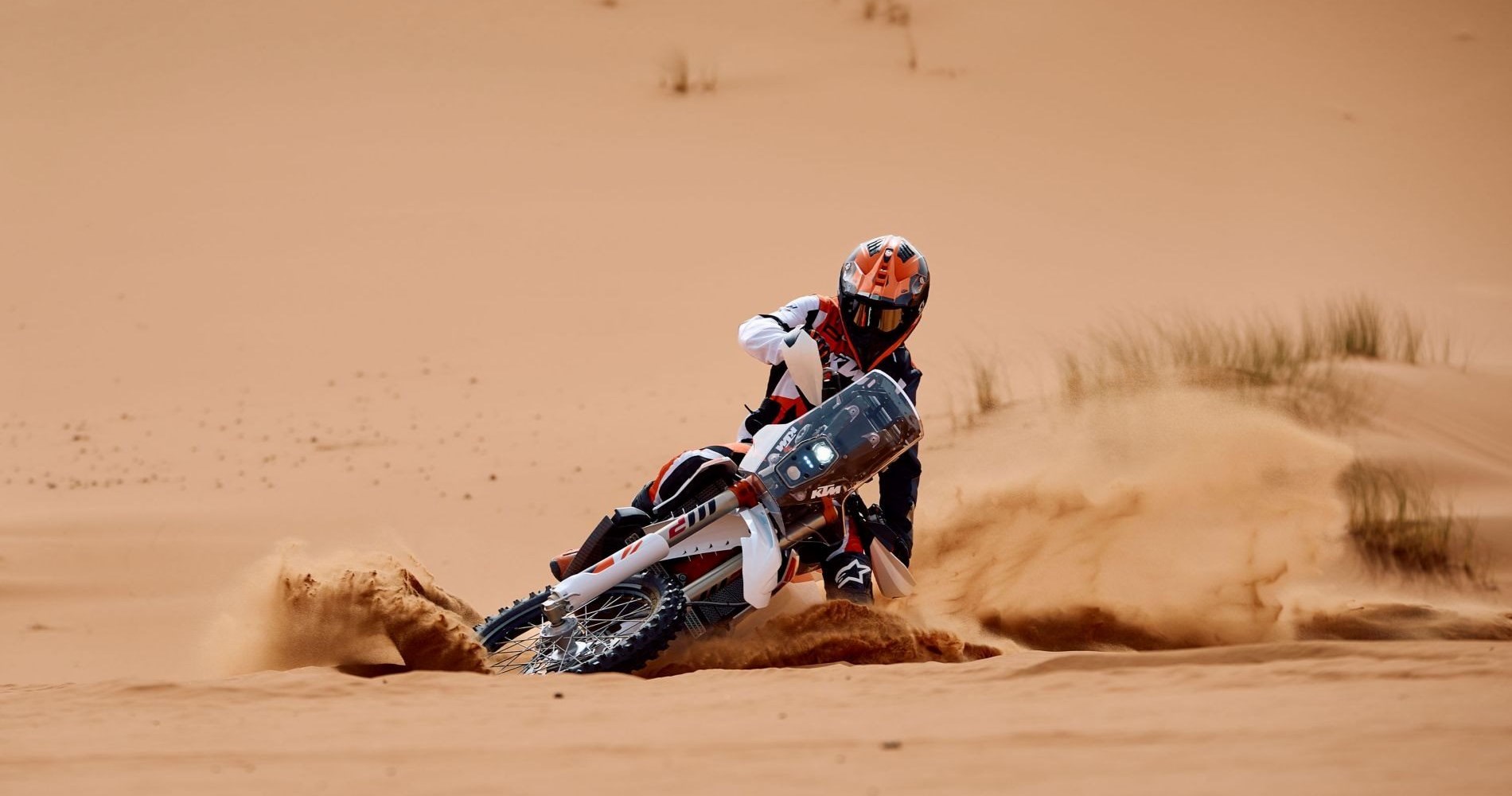 DOMINATE THE DUNES
