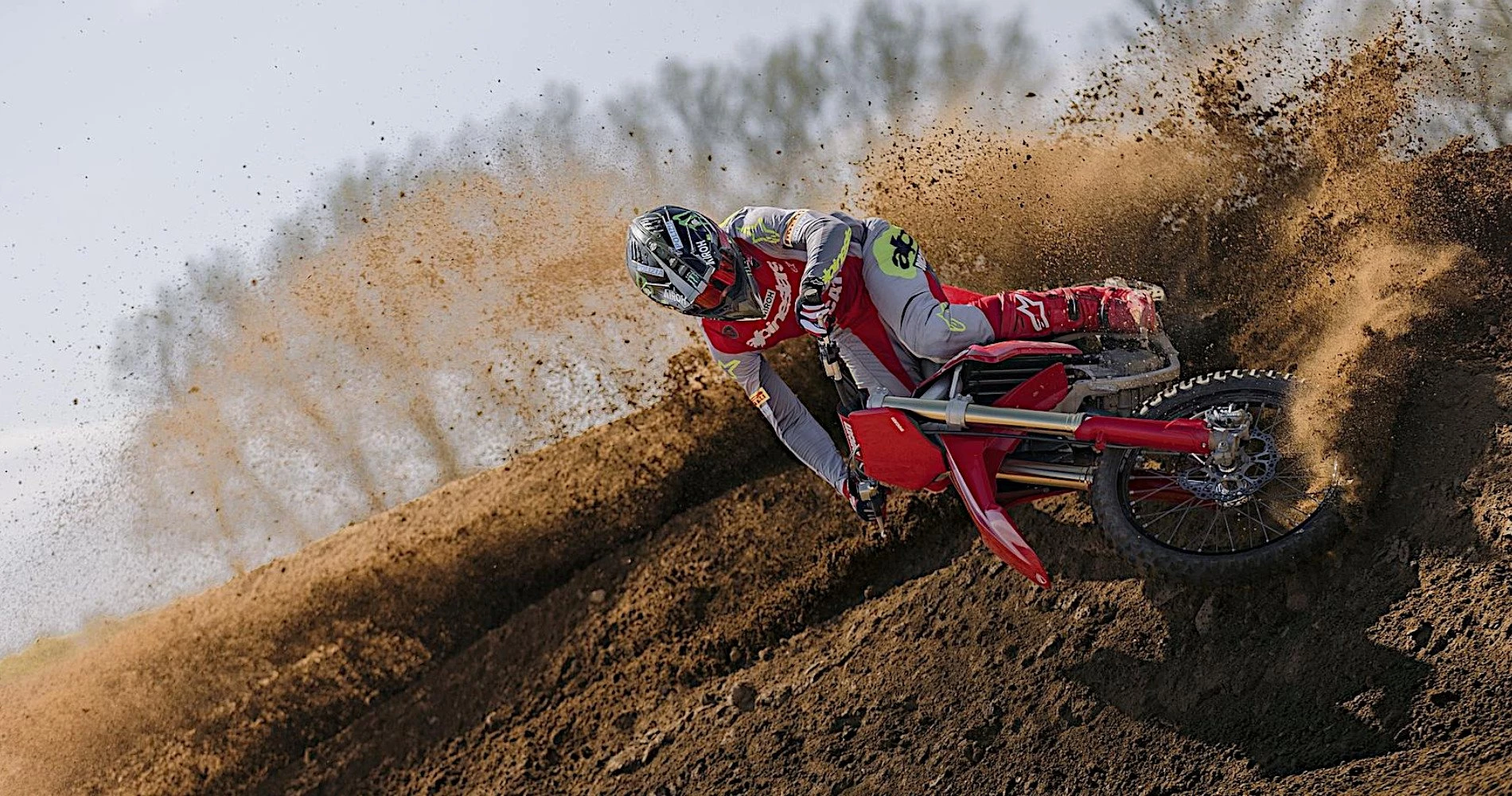 Desmo450 MX