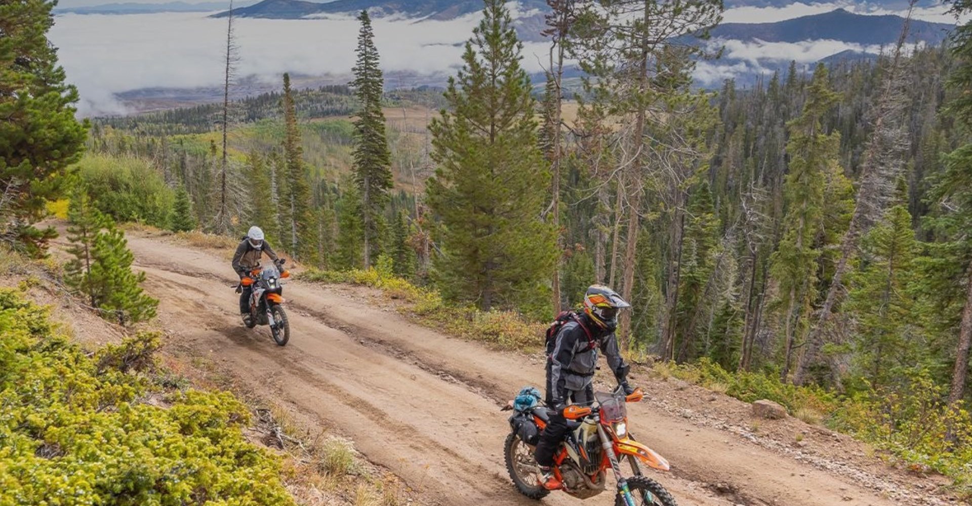 YOUR GATEWAY TO THE WORLD OF ORANGE
