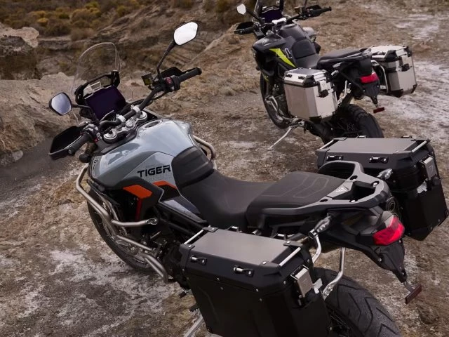 Tiger 900 Family