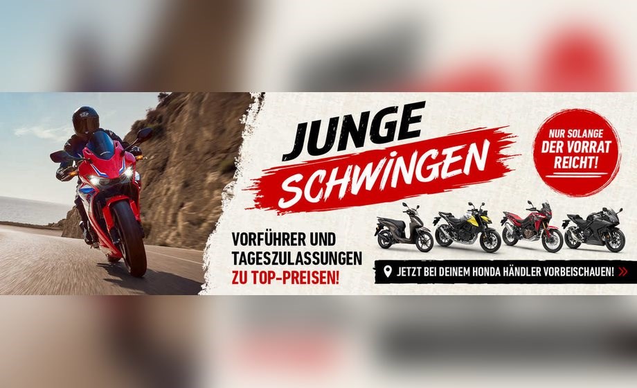 Junge Schwingen