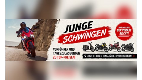 Junge Schwingen