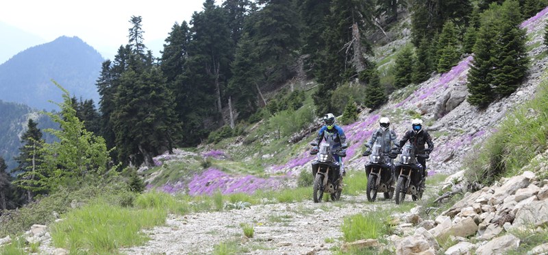 Abwechslungsreiches Terrain bei der Hellas Rally Abwechslungsreiches Terrain bei der Hellas Rally