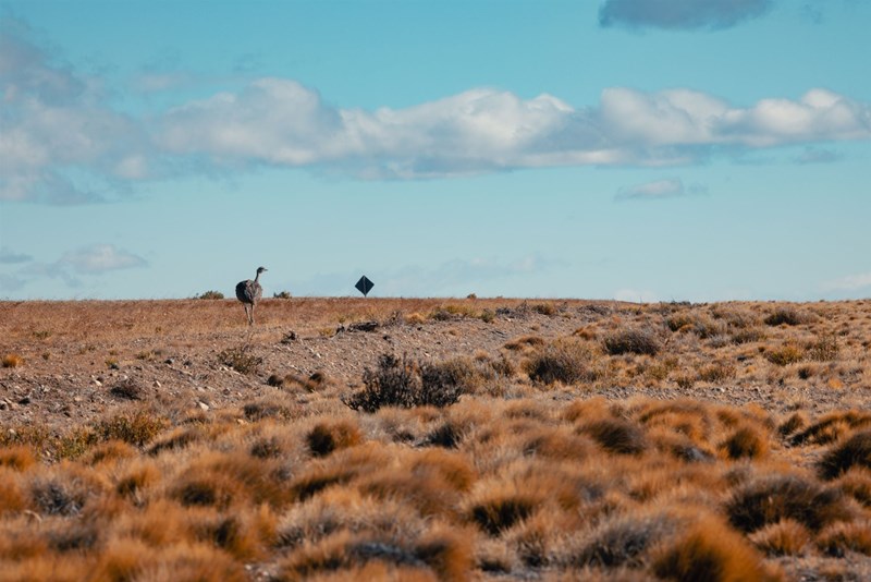 Motorrad Reise Patagonien Motorrad Reise Patagonien