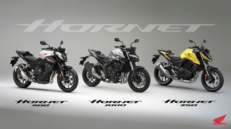 Die Honda Hornet Baureihe 2024.