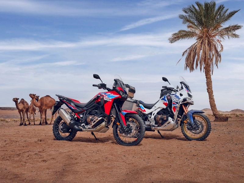Die neue Honda Africa Twin 2024.