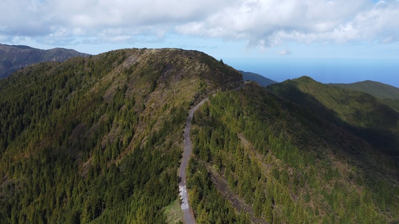 Die Niederschläge auf den Inseln sorgen auch für phantastische Vegetation