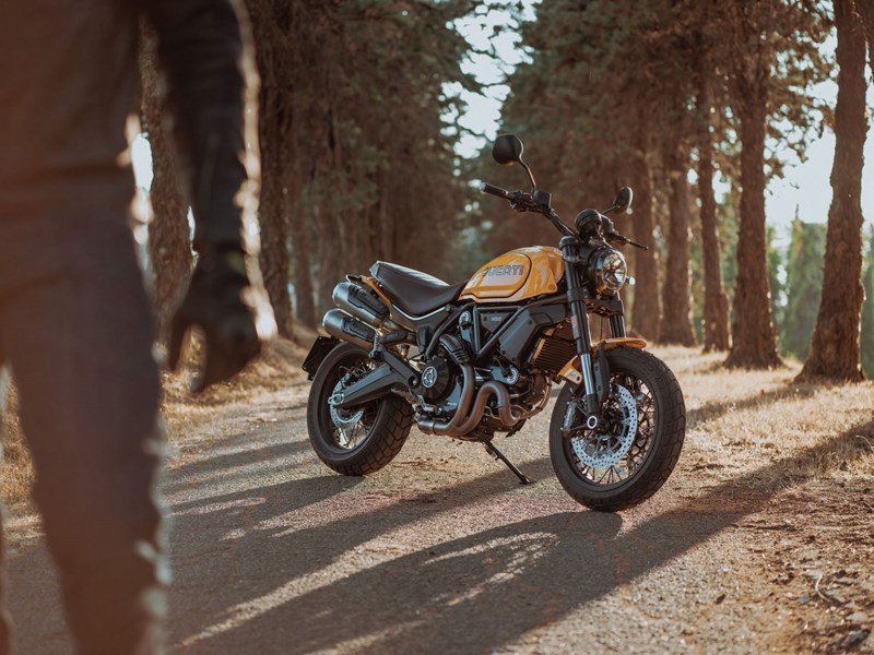 Die Ducati Scrambler 1100 TRIBUTE PRO. Die Ducati Scrambler 1100 TRIBUTE PRO.