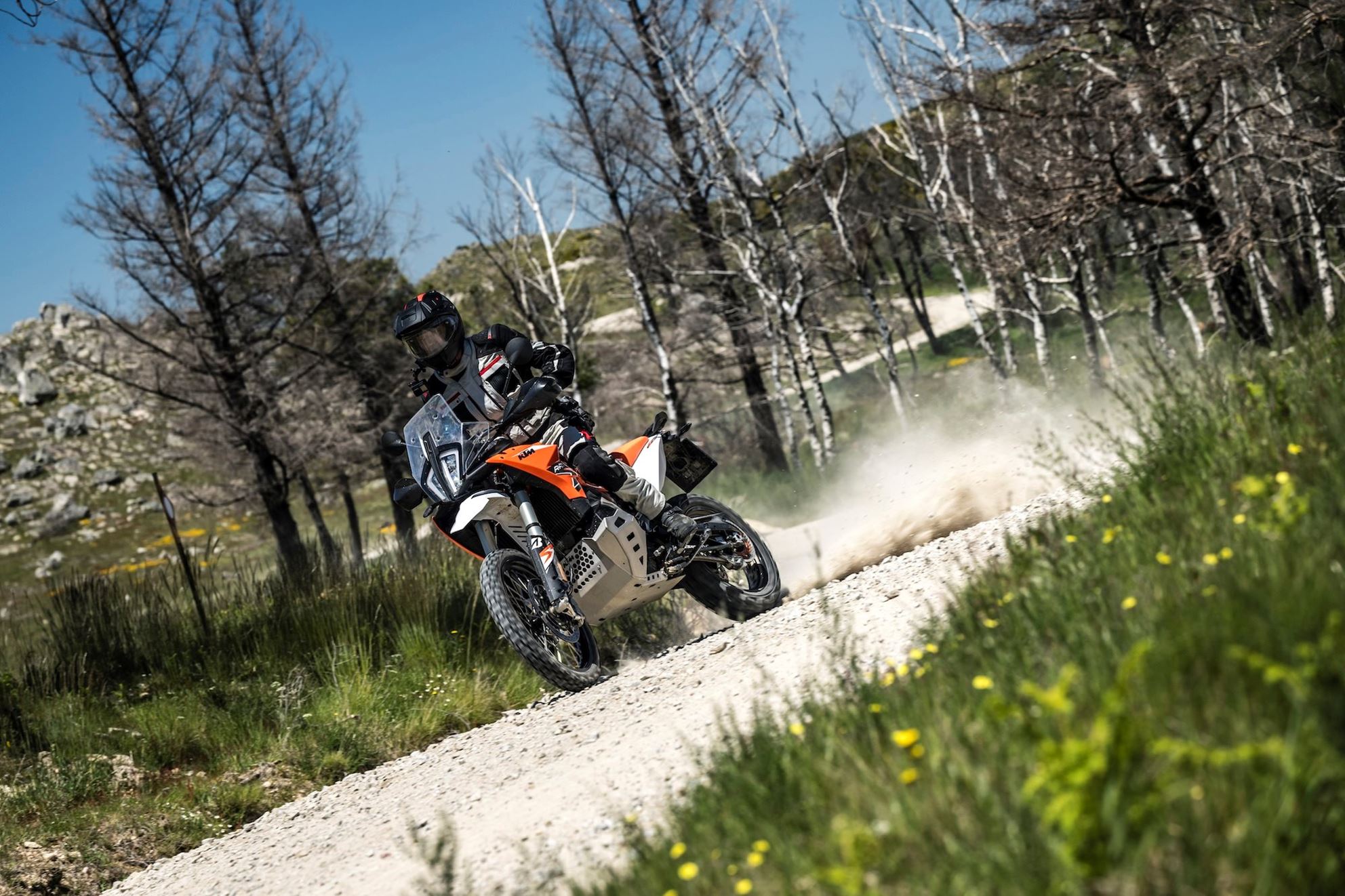 Wunderbar unvernünftig: Die KTM 890 Adventure R Rally