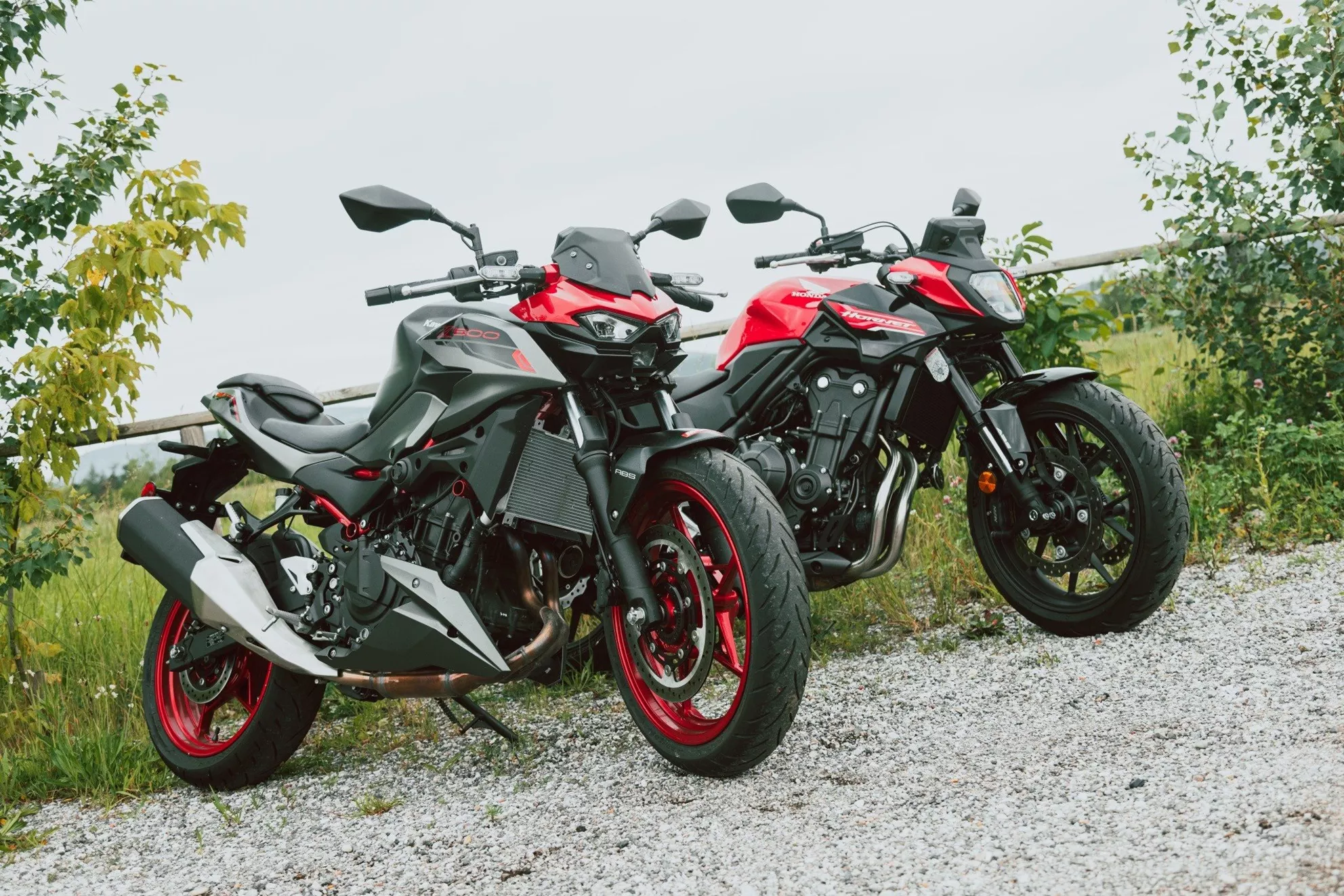 Honda CB500 Hornet und Kawasaki Z500 SE beim Nakedbike Test 2024