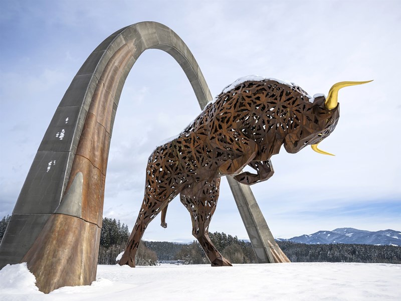 Karriere am Red Bull Ring - Arbeite bei der MotoGP Strecke Karriere am Red Bull Ring - Arbeite bei der MotoGP Strecke