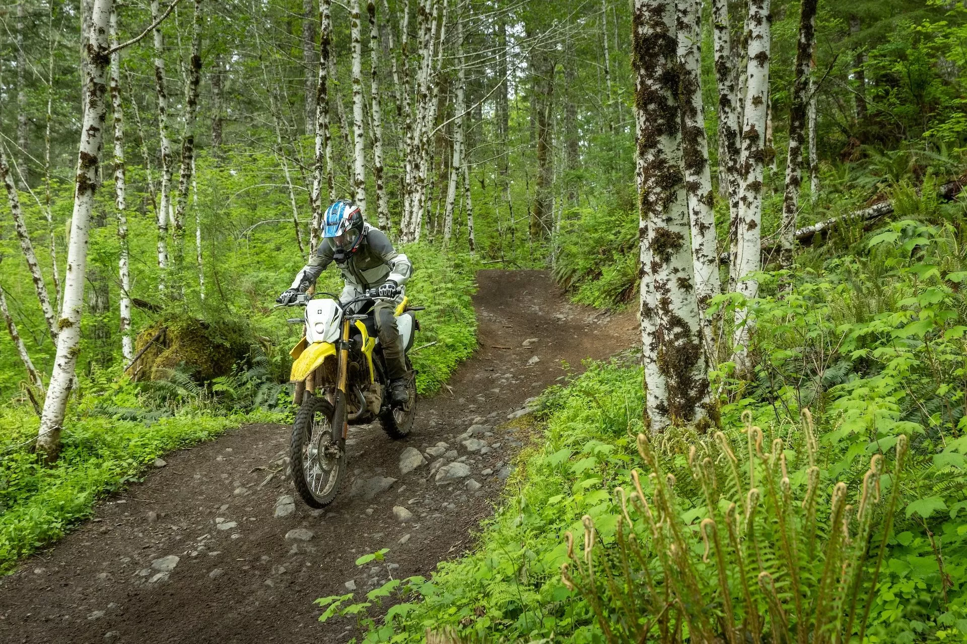Suzuki DR-Z4S Test 2025