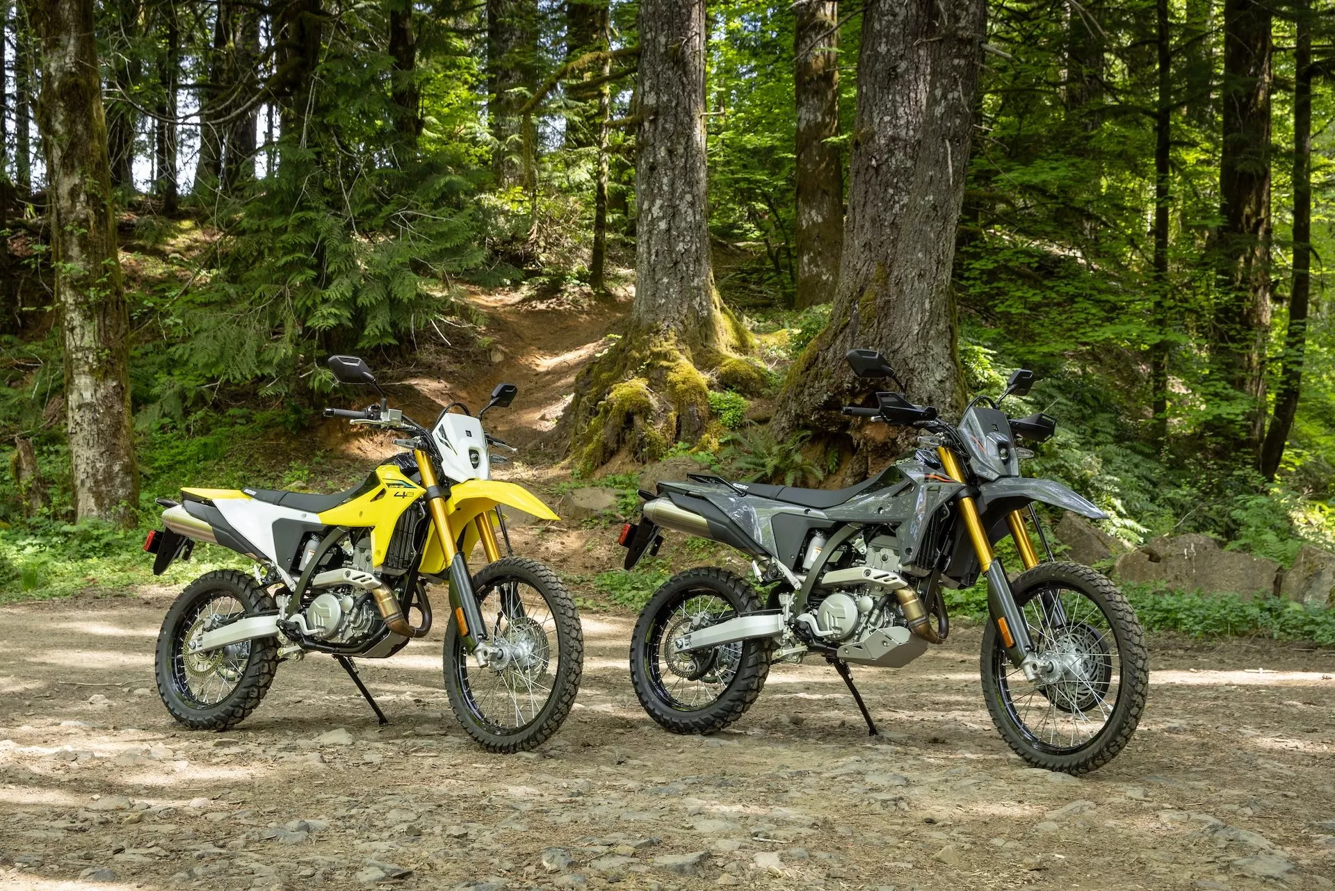 Suzuki DR-Z4S Test 2025