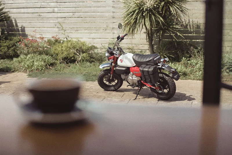 So kennen wir die Monkey heute: Erwachsener, aber kein bisschen weniger kultig. So kennen wir die Monkey heute: Erwachsener, aber kein bisschen weniger kultig.