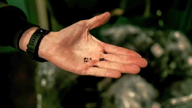 Die Basis jeder Innenschale: Das Granulat.