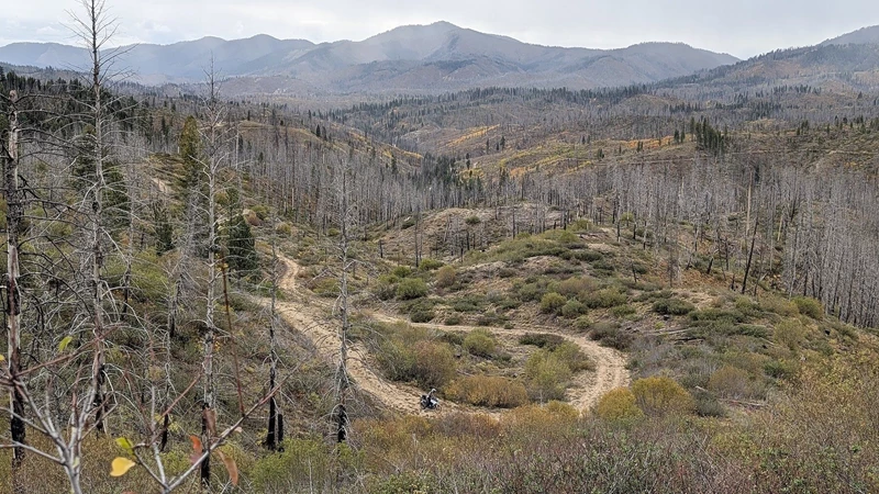 Waldbrände sind in Idaho jedes Jahr Teil des natürlichen Kreislaufs – sie entstehen meist durch Blitze, formen die Landschaft neu und sorgen dafür, dass die Wälder jung und widerstandsfähig bleiben. Waldbrände sind in Idaho jedes Jahr Teil des natürlichen Kreislaufs – sie entstehen meist durch Blitze, formen die Landschaft neu und sorgen dafür, dass die Wälder jung und widerstandsfähig bleiben.