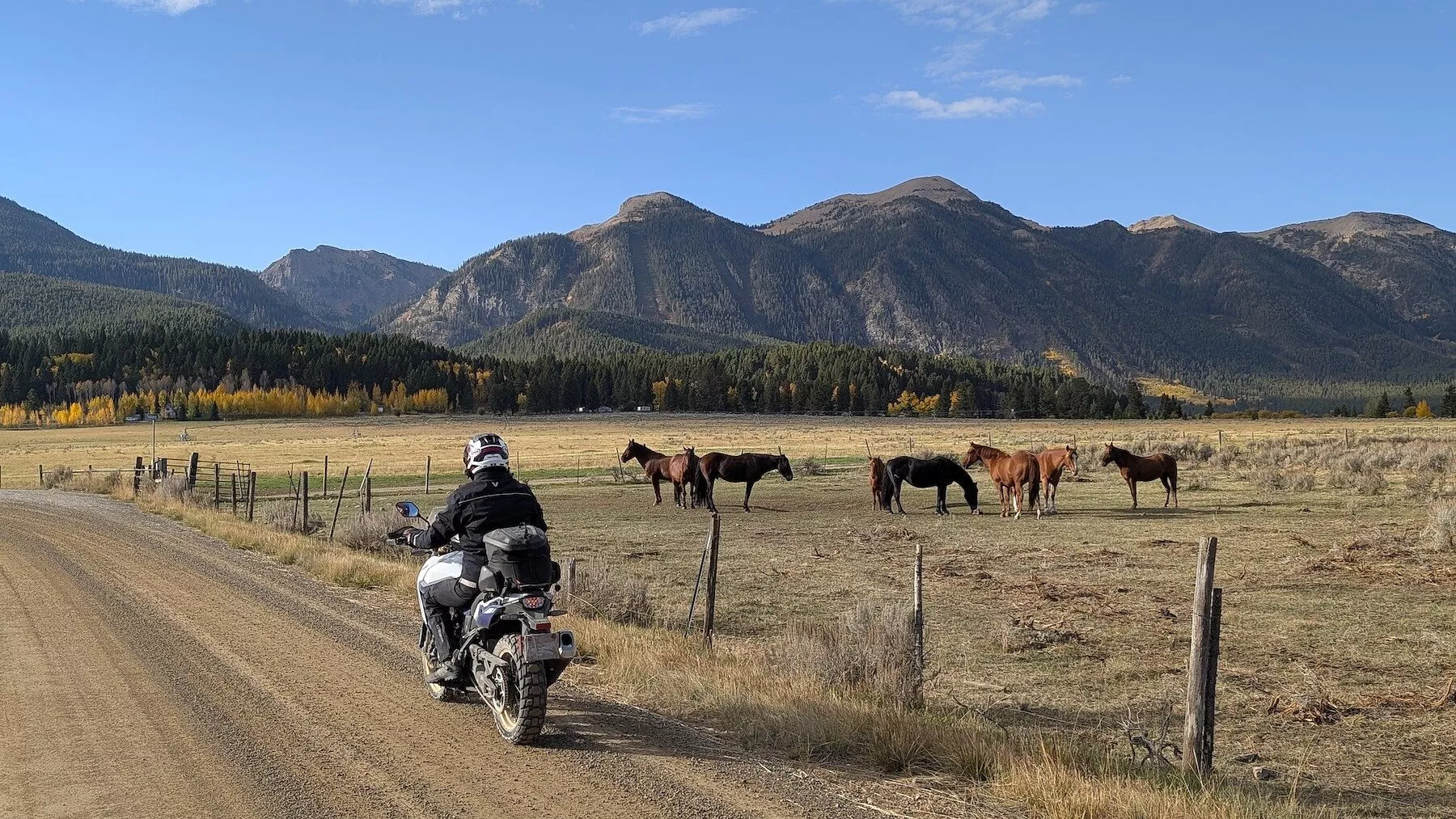 Mesmo em nossa jornada, os cavalos eram uma imagem constante que moldava a paisagem. Mesmo em nossa jornada, os cavalos eram uma imagem constante que moldava a paisagem.
