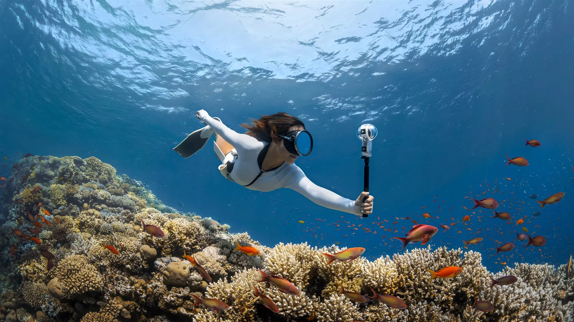 Waterdicht tot 15 meter Waterdicht tot 15 meter