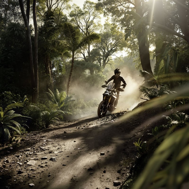 Mit den richtigen Zubehöroptionen soll die F 450 GS auch im losen Gelände eine gute Figur machen.