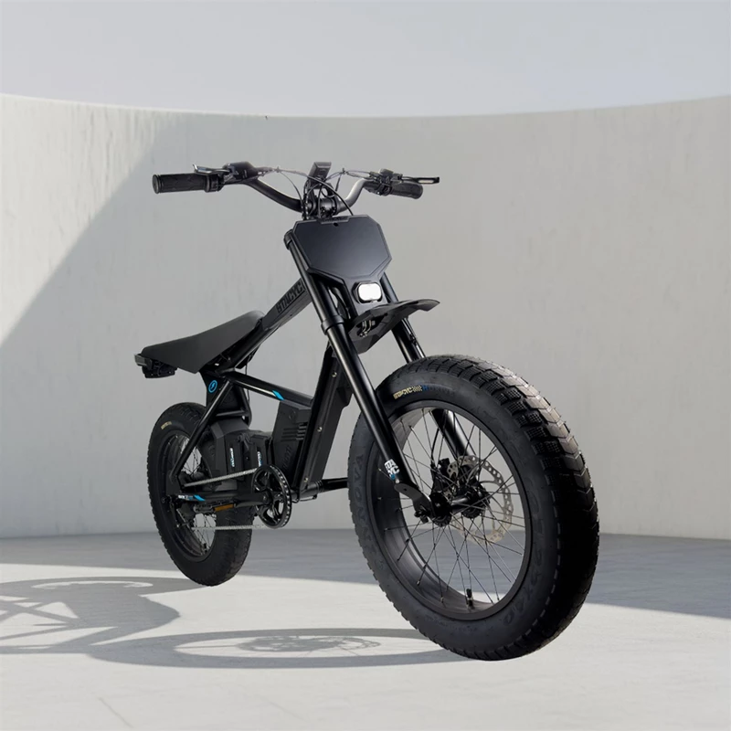 STACYC 20H 2026 STACYC 20H 2026