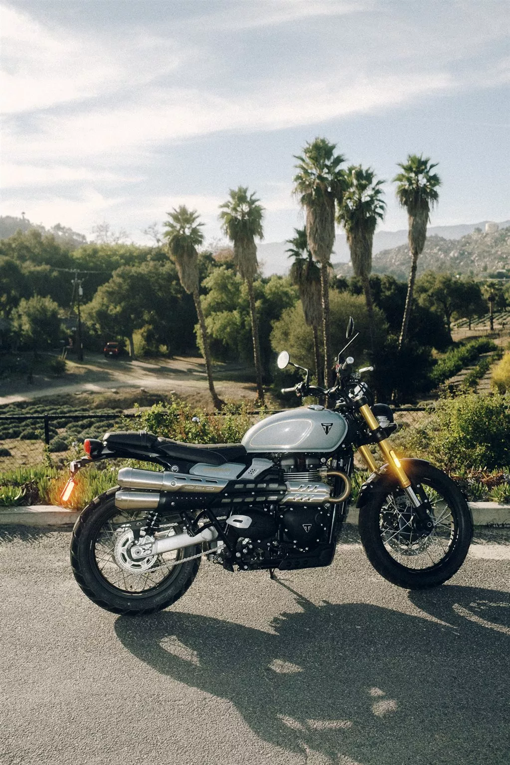 Triumph Scrambler 900 2026